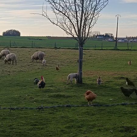 Gite Des 3 Marcassins Preaux Bagian luar foto